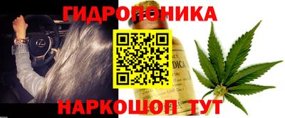 ПСИЛОЦИБИНОВЫЕ ГРИБЫ Старая Купавна