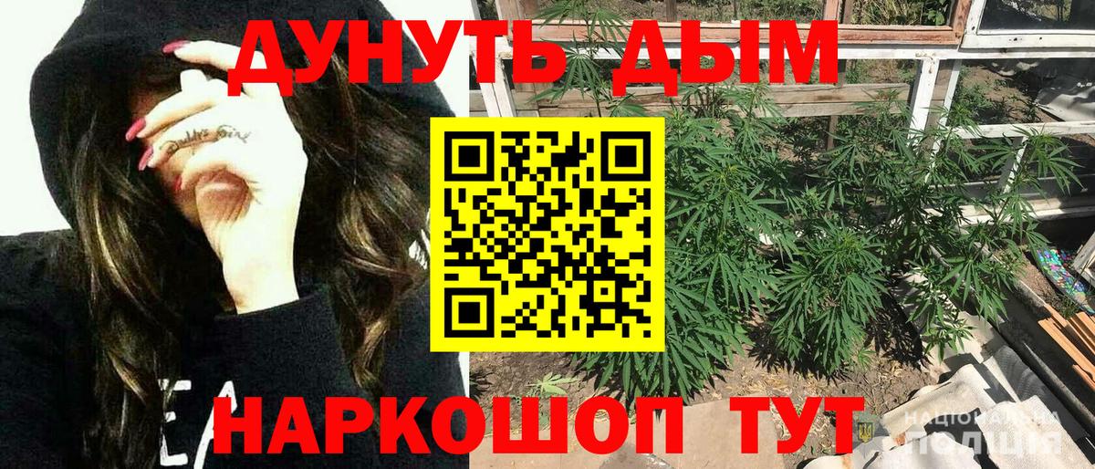 Канабис SATIVA & INDICA Рыбинск